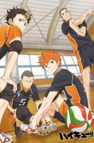 Poster Haikyuu IX