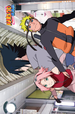 Poster Naruto IV