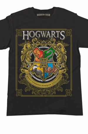 Polera Harry Potter 01